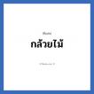 กล้วยไม้ แปลว่า? วิเคราะห์ชื่อ กล้วยไม้, ชื่อเล่น กล้วยไม้