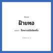 ฝ้ายทอ แปลว่า? วิเคราะห์ชื่อ ฝ้ายทอ, ชื่อเล่น ฝ้ายทอ แปลว่า ชื่อพรรณไม้ชนิดหนึ่ง