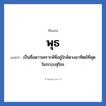 พุธ แปลว่า? วิเคราะห์ชื่อ พุธ, ชื่อเล่น พุธ แปลว่า เป็นชื่อดาวเคราะห์ที่อยู่ใกล้ดวงอาทิตย์ที่สุดในระบบสุริยะ