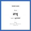 ฮารุ แปลว่า? วิเคราะห์ชื่อ ฮารุ, ชื่อเล่น ฮารุ แปลว่า ฤดูใบไม้ผลิ