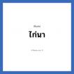 ไก่นา แปลว่า? วิเคราะห์ชื่อ ไก่นา, ชื่อเล่น ไก่นา