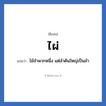 ไผ่ แปลว่า? วิเคราะห์ชื่อ ไผ่, ชื่อเล่น ไผ่ แปลว่า ไม้จำพวกหนึ่ง แต่ลำต้นใหญ่เป็นลำ