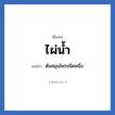 ไผ่น้ำ แปลว่า? วิเคราะห์ชื่อ ไผ่น้ำ, ชื่อเล่น ไผ่น้ำ แปลว่า ต้นสมุนไพรชนิดหนึ่ง